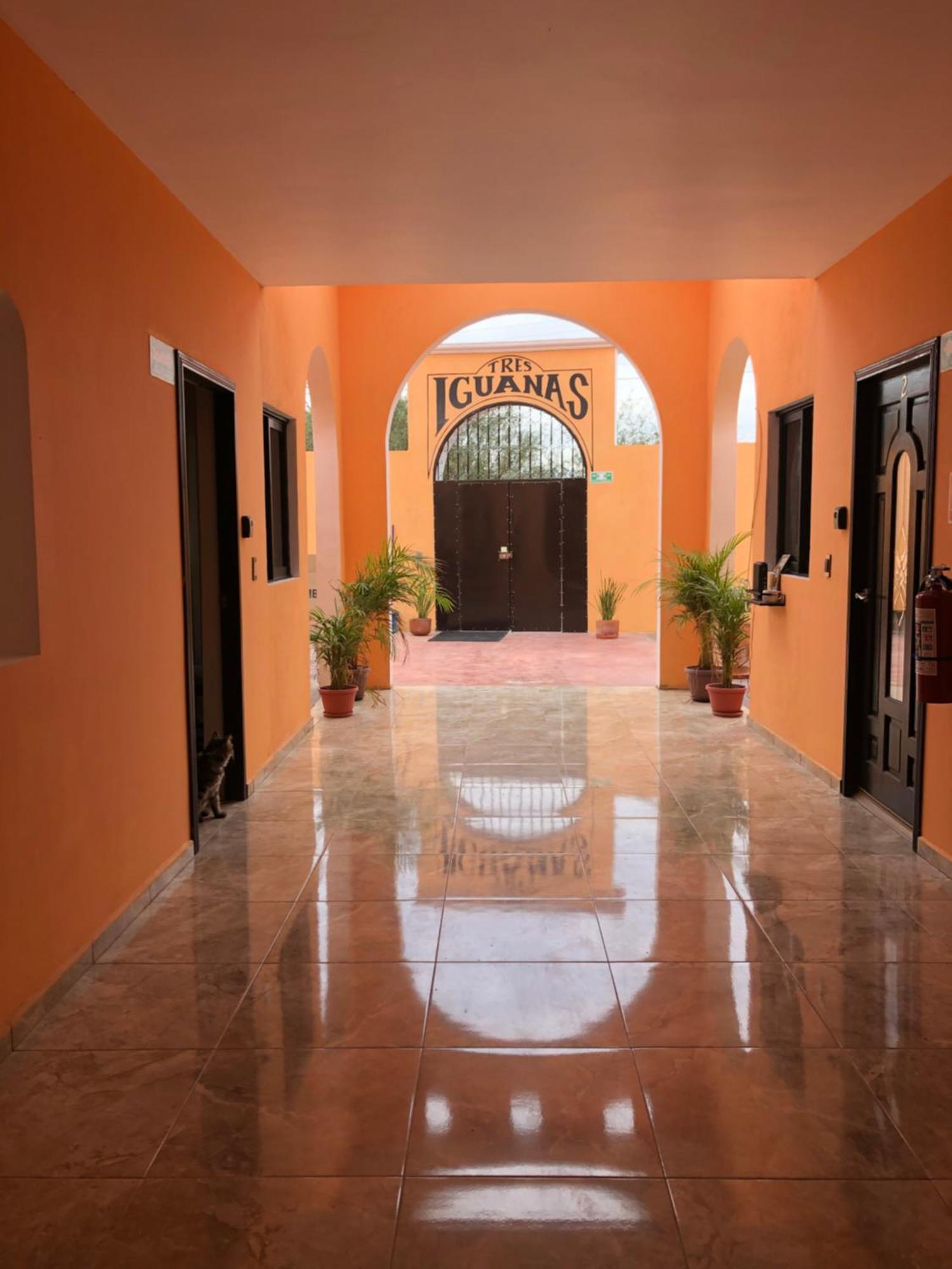Tres Iguanas Apart Hotel - New, Cozy & Spacious Flats, Short Walk To Beach Loreto  Exterior foto